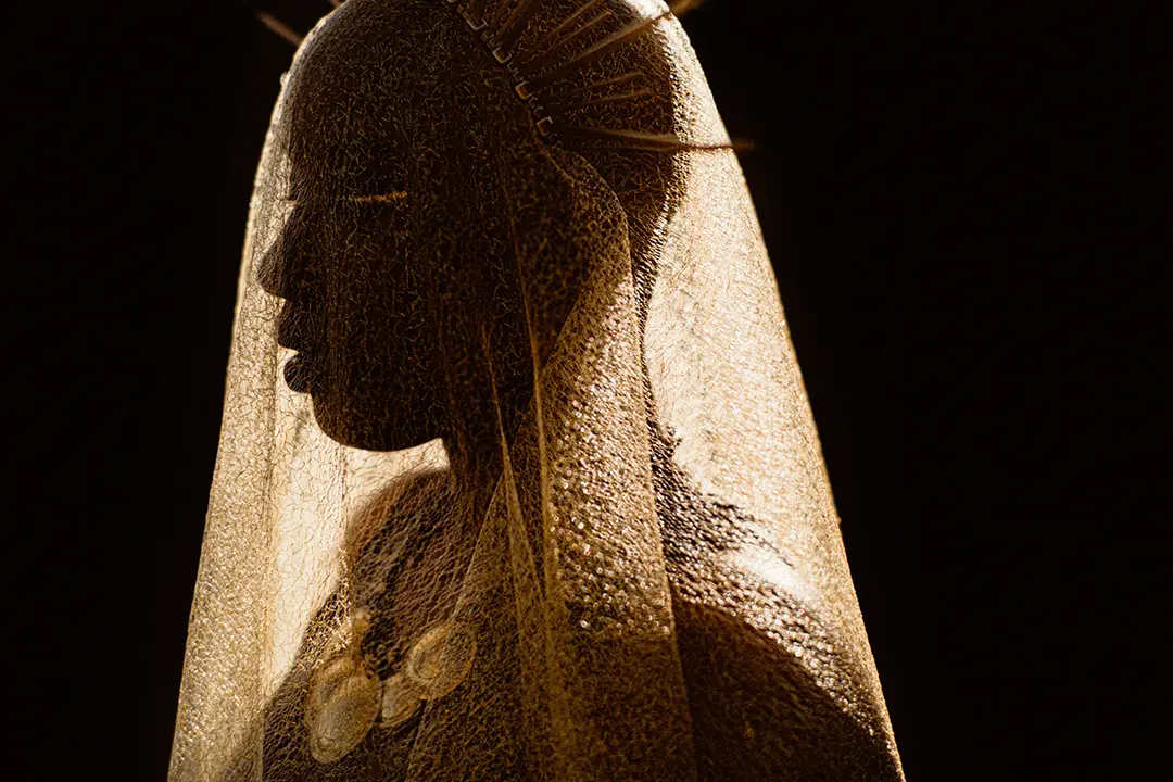 Silhouetted woman under a golden veil: A striking silhouette of a woman draped in a shimmering golden veil, with a spiked crown and soft light illuminating her profile. The dark background enhances the texture of the veil and the ethereal, regal atmosphere of the portrait.
